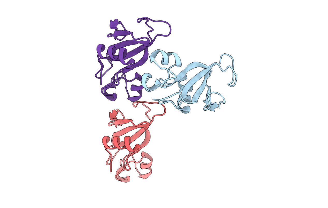 1BSB image