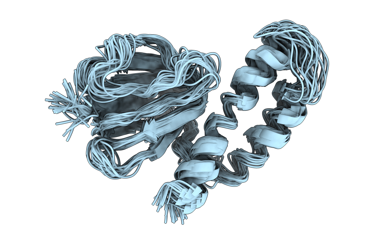 1BSH image