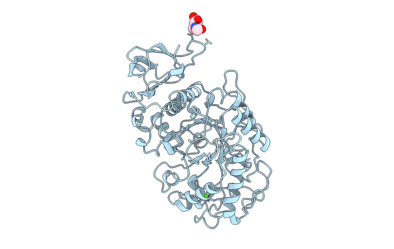 1BSI image