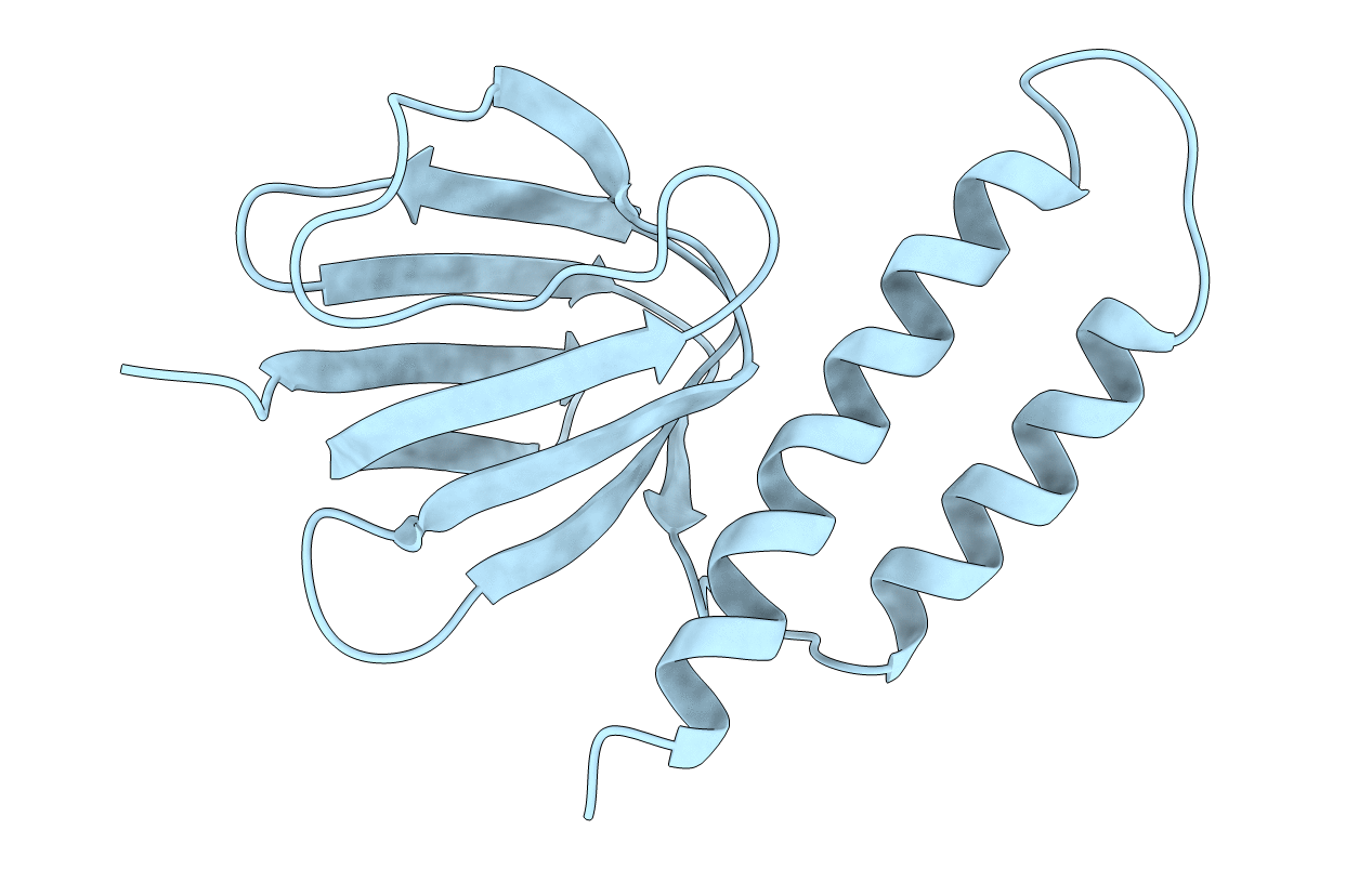 1BSN image