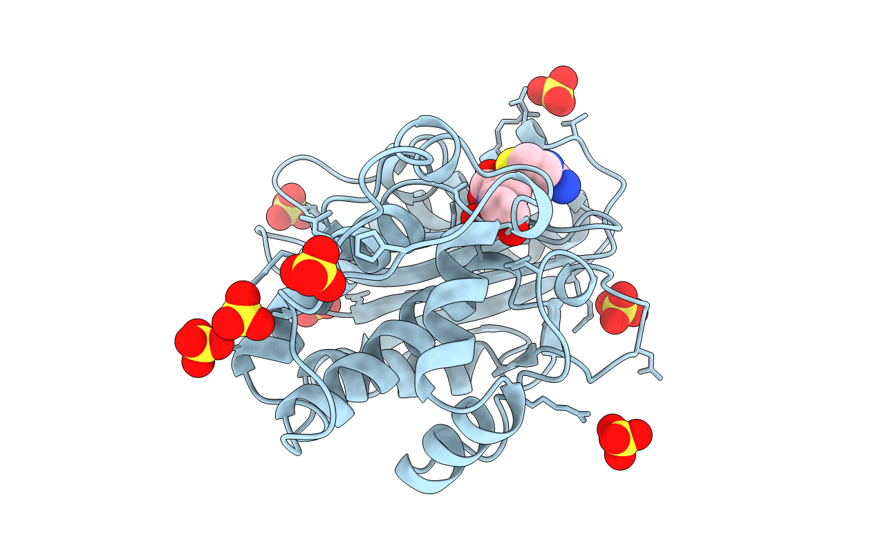 1BT5 image