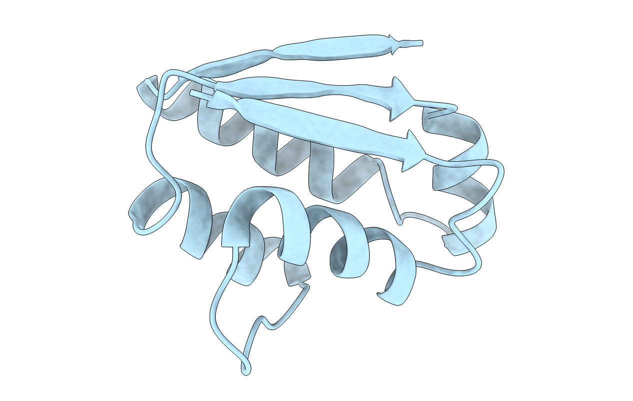 1BTA image