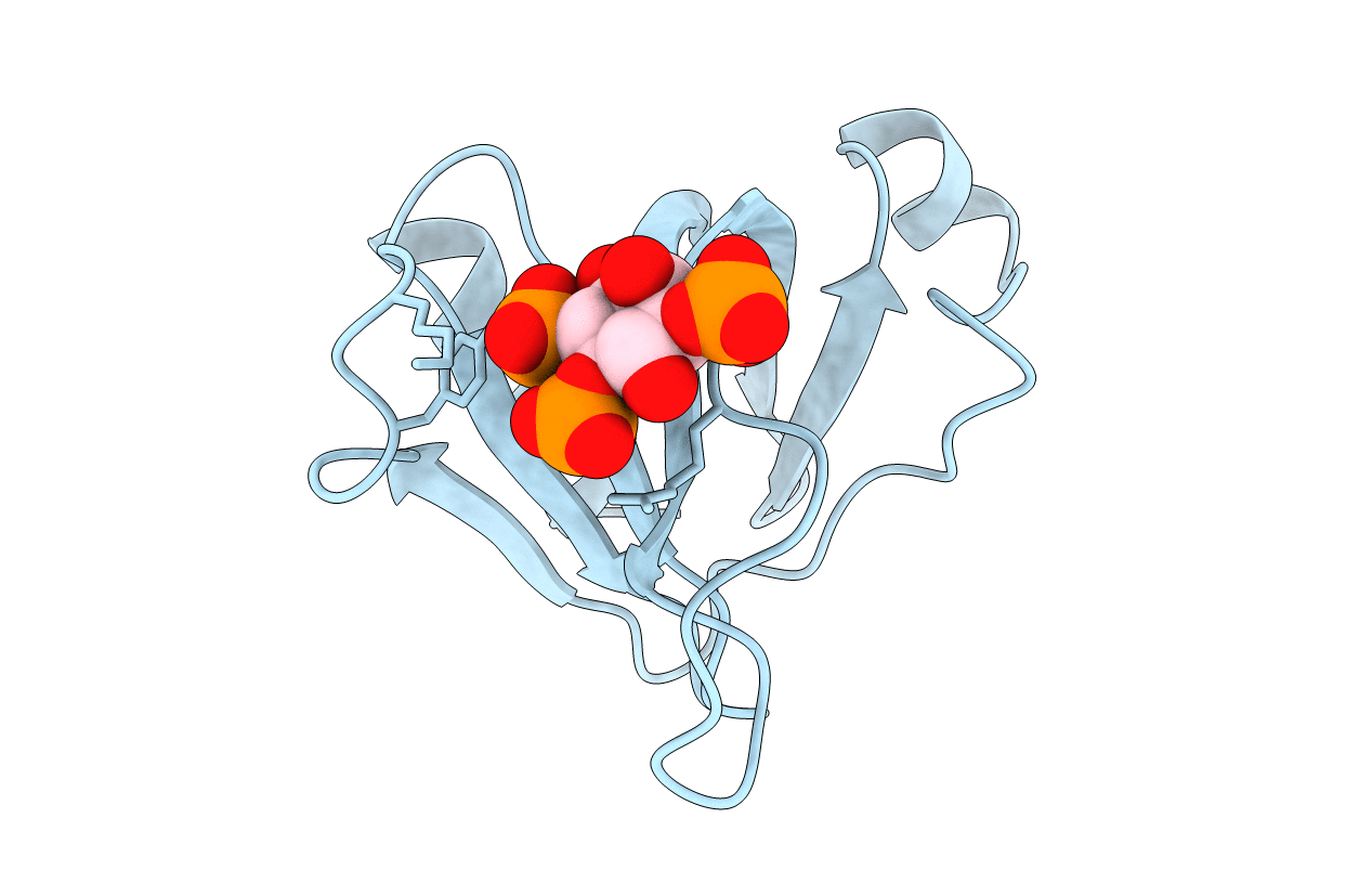 1BTN image