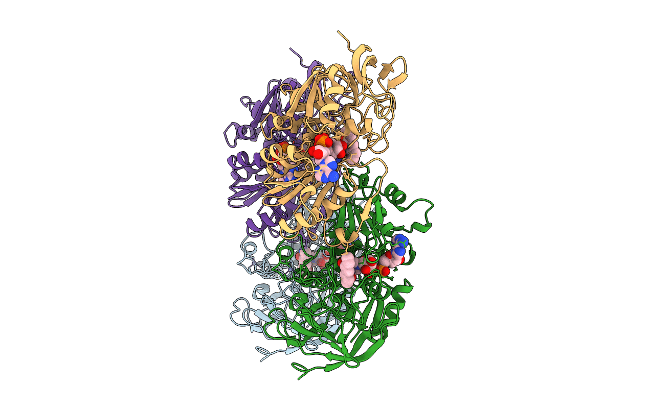 1BTO image