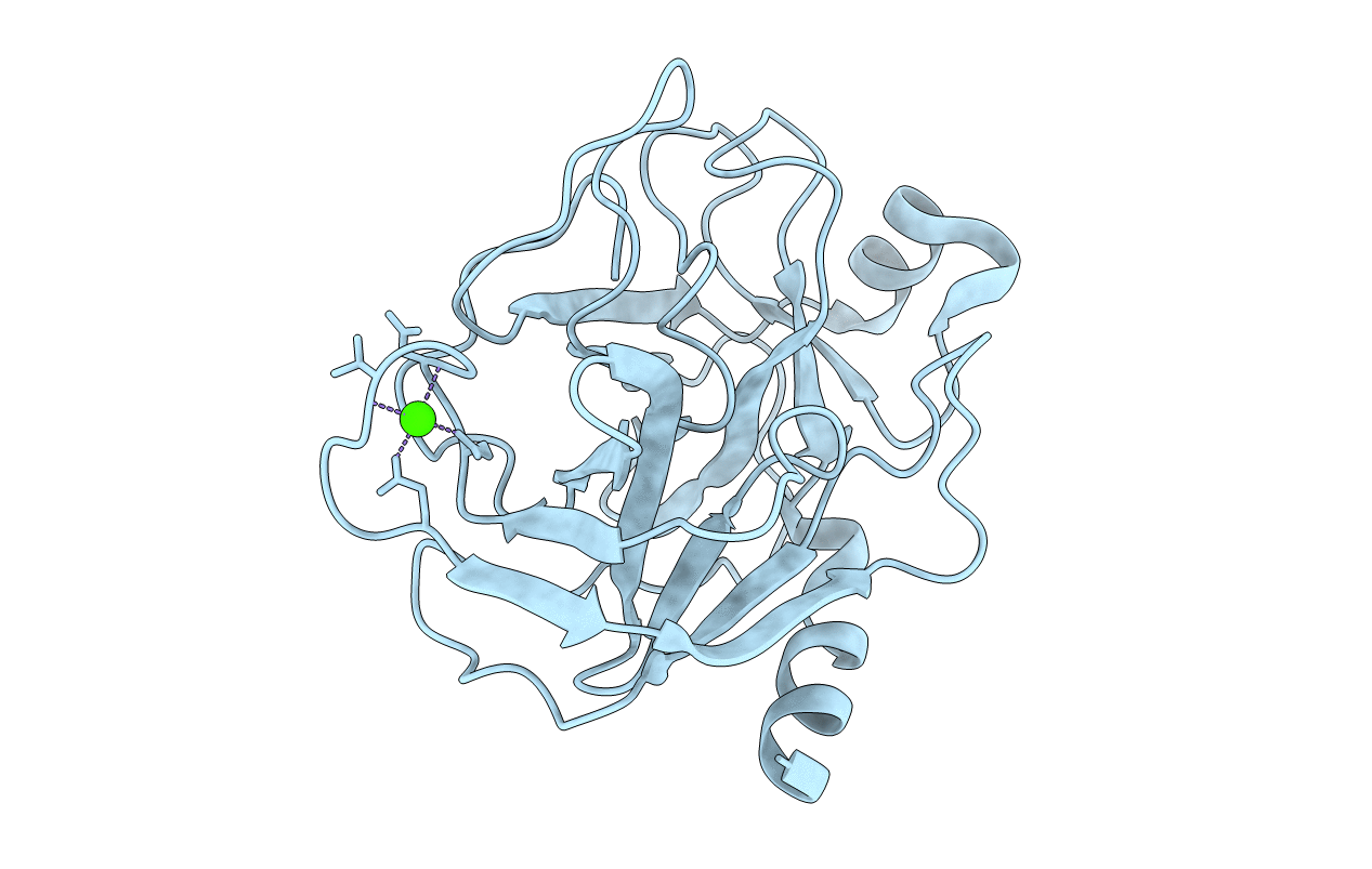 1BTP image