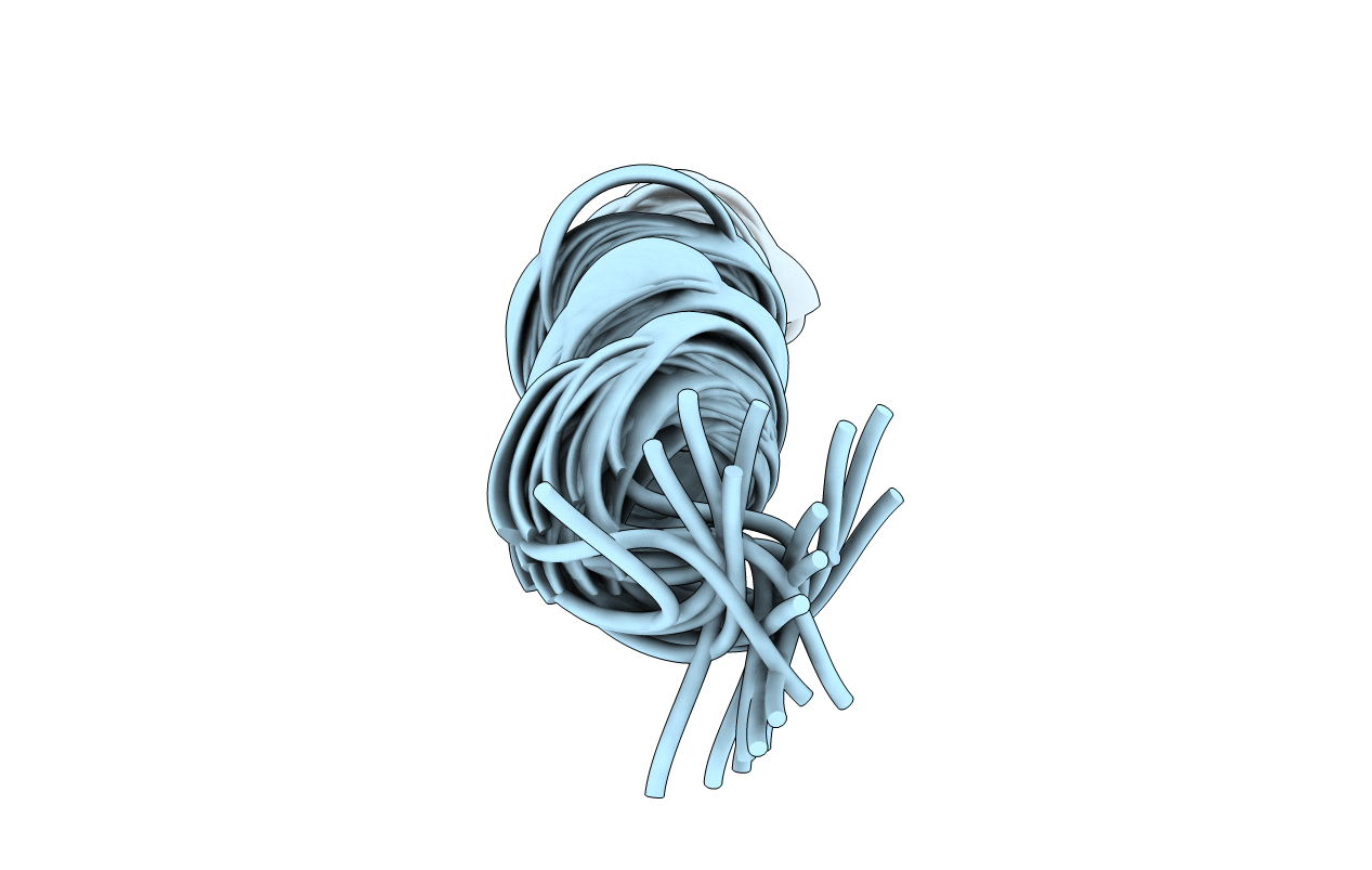 1BTT image