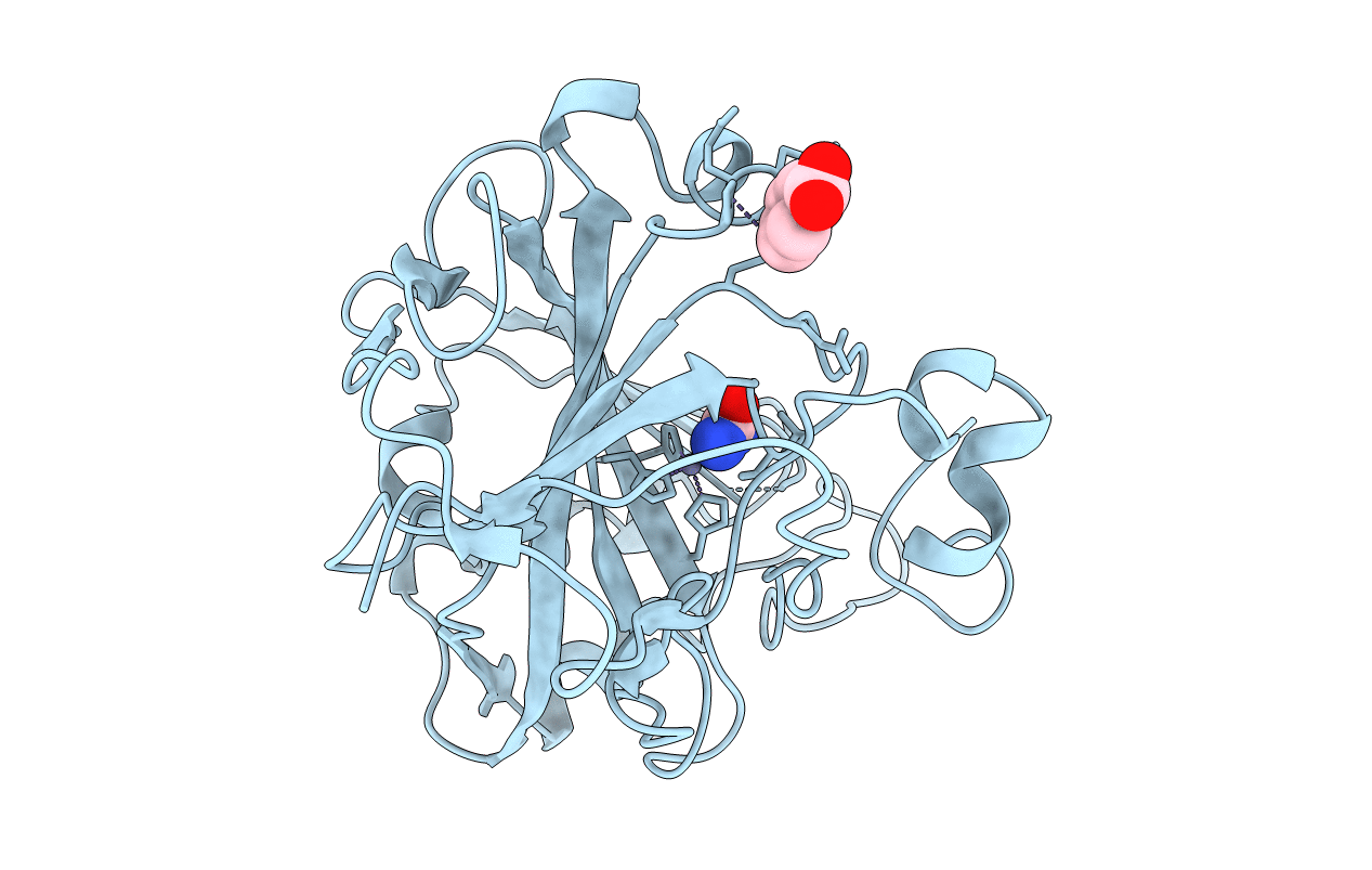 1BV3 image