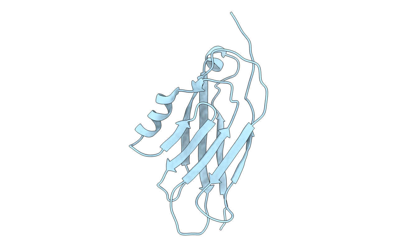 1BV8 image