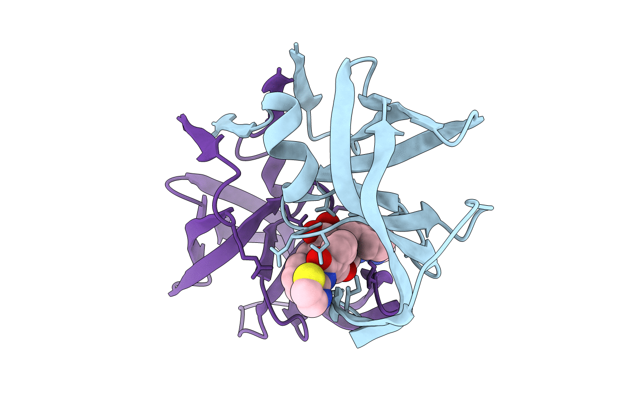 1BV9 image