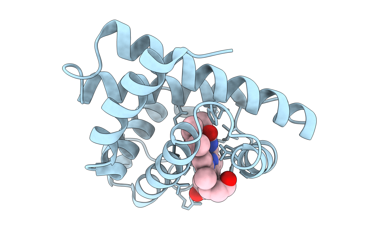 1BVD image