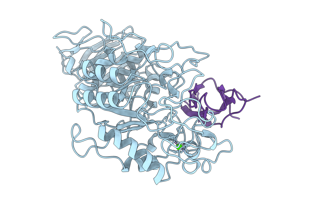 1BVN image