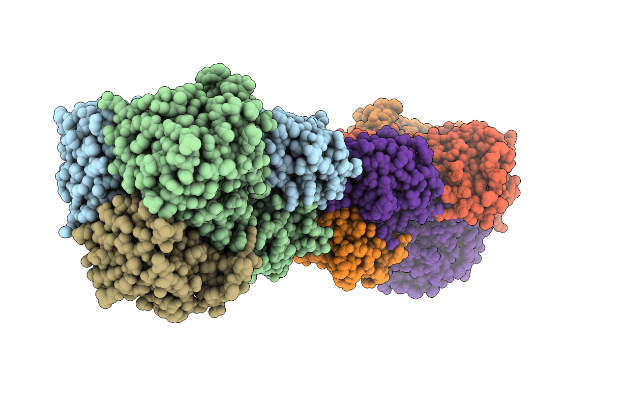 1BVP image