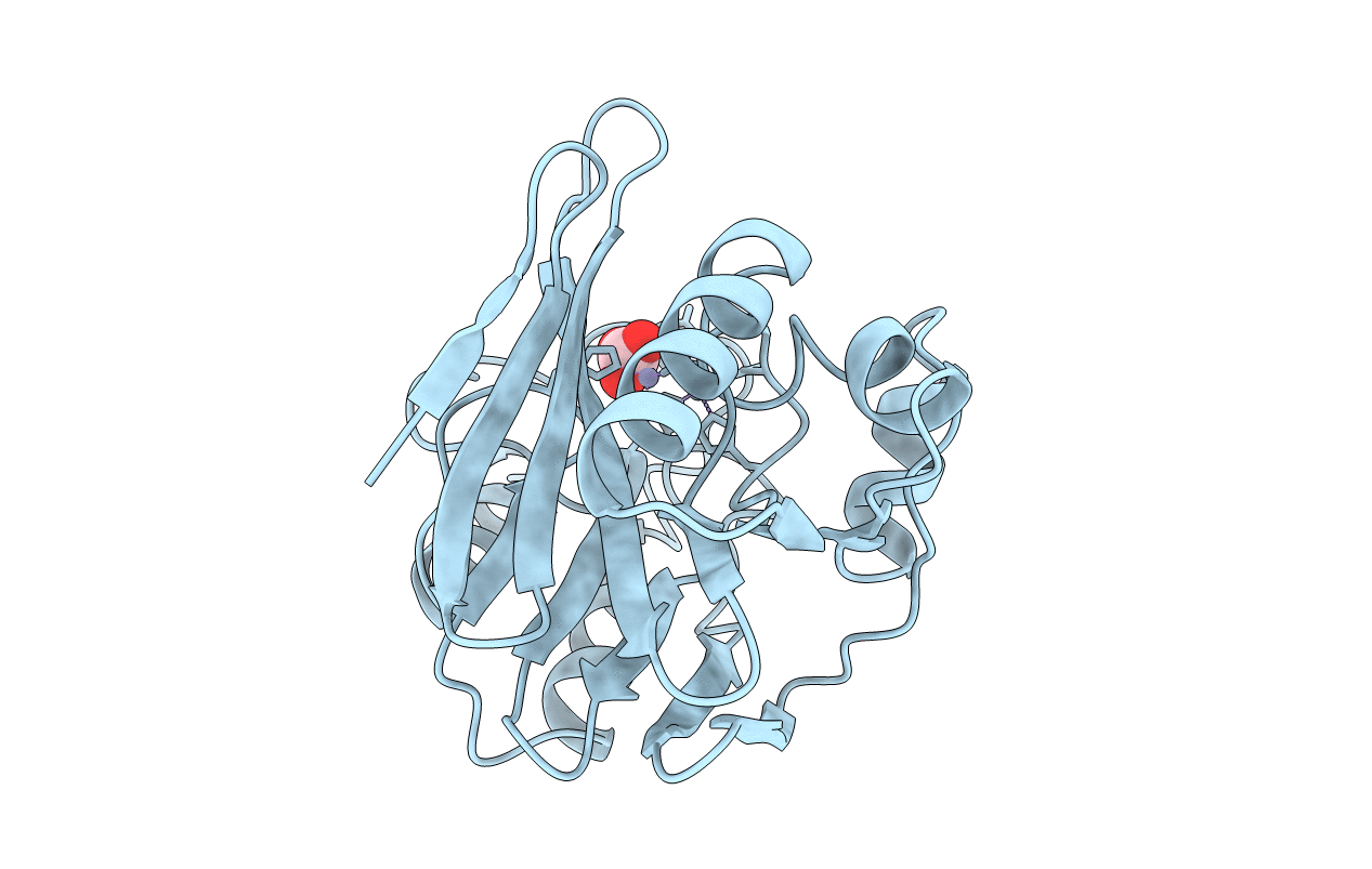 1BVT image