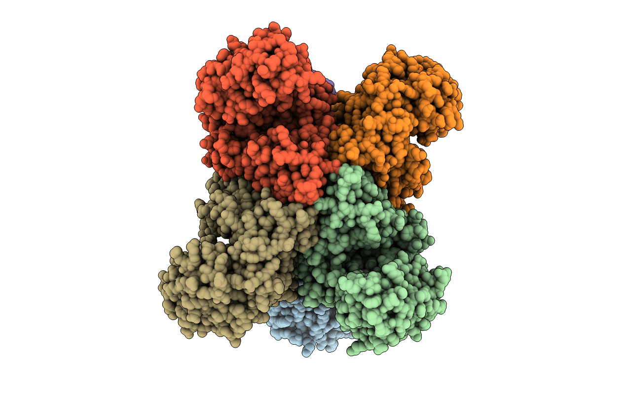 1BVU image