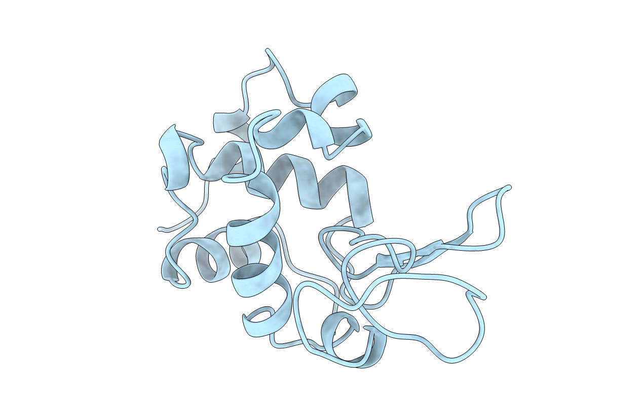 1BWH image