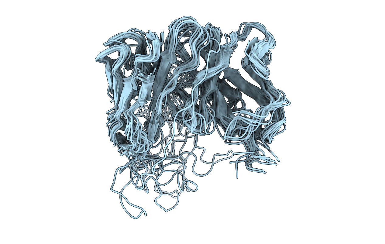 1BWM image