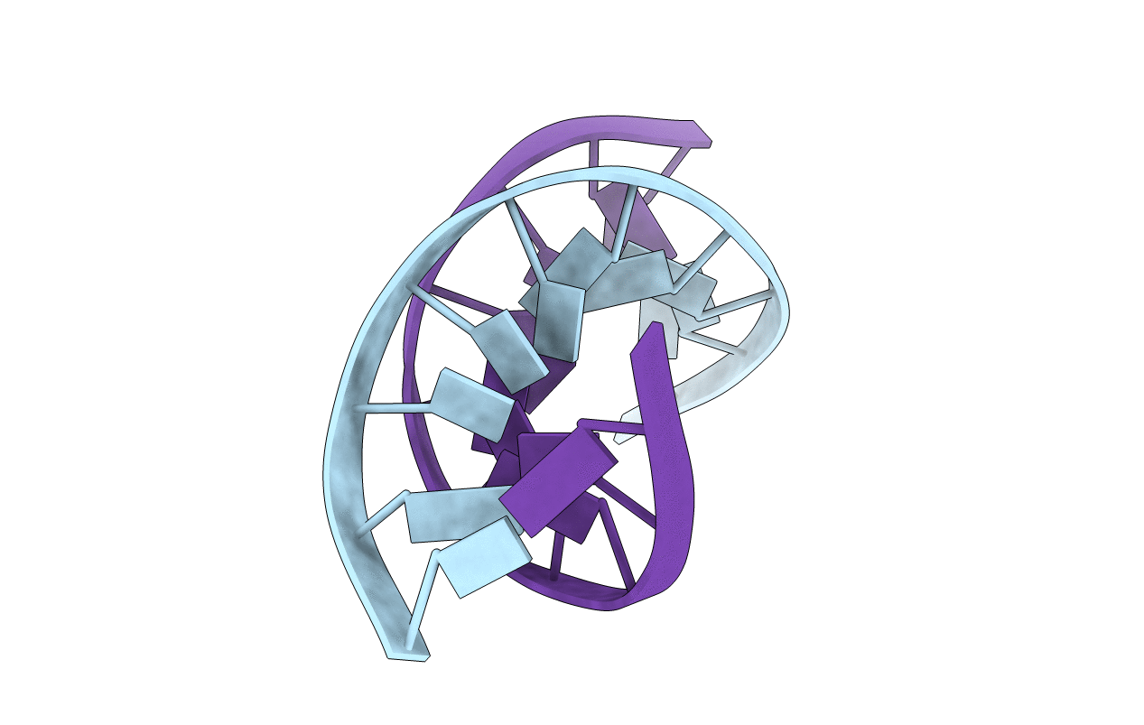 1BWT image
