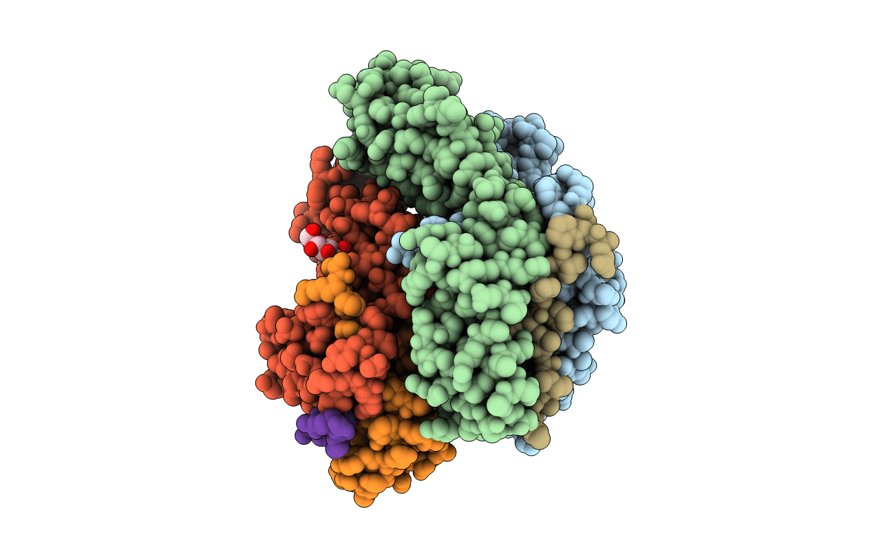 1BX2 image