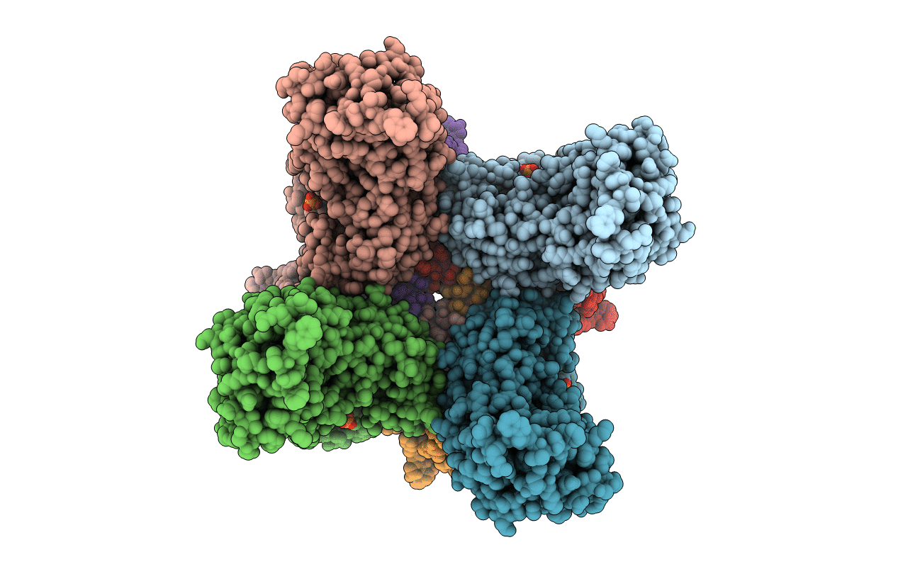 1BXN image
