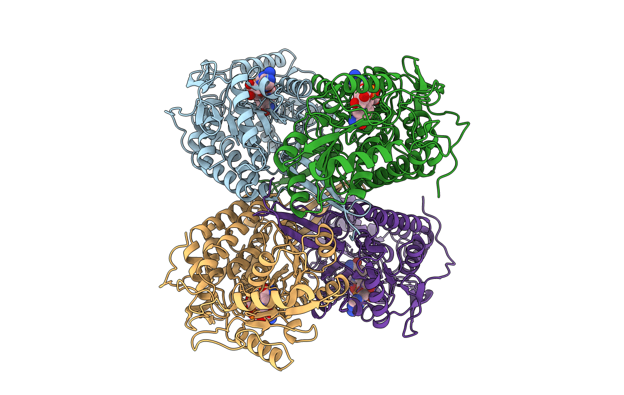 1BXS image