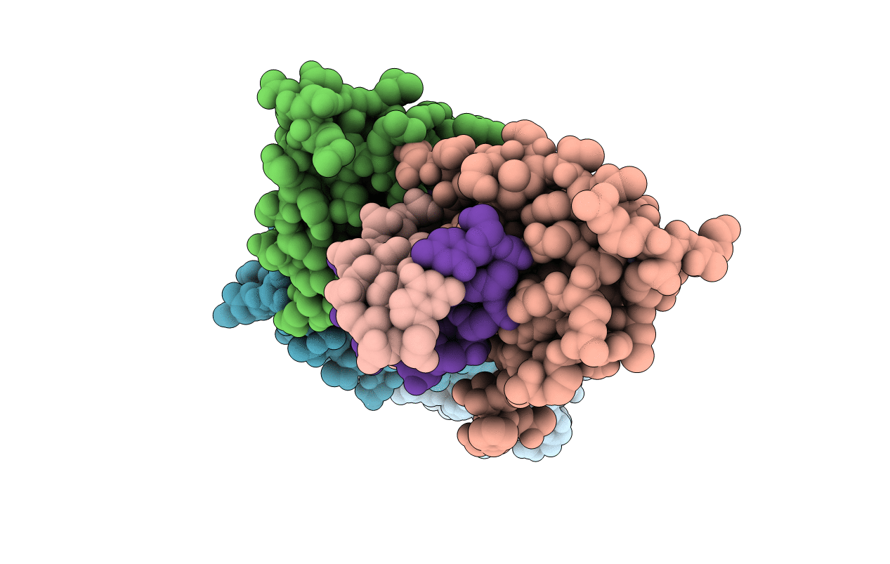 1BY4 image