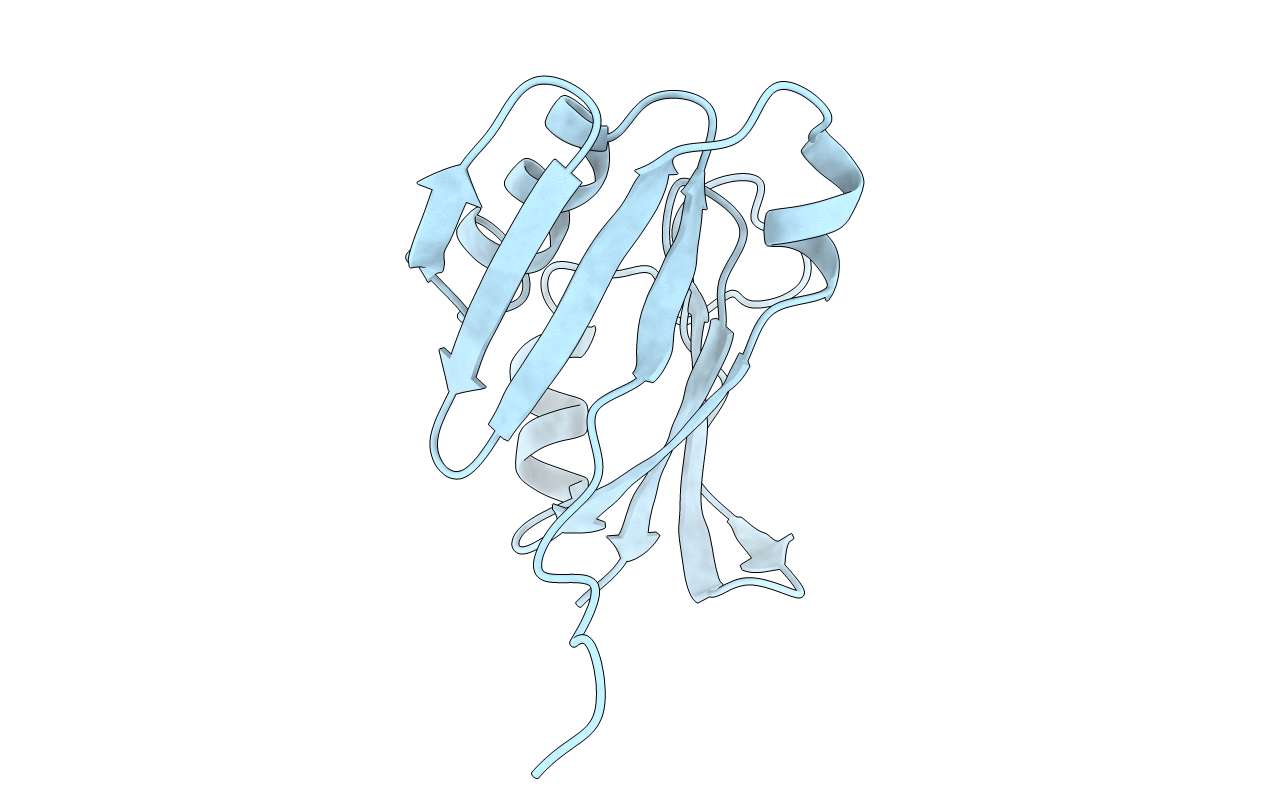 1BYL image