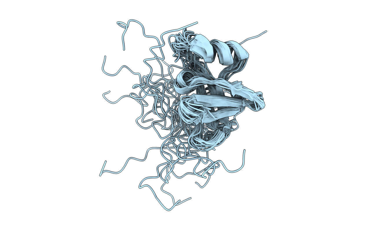 1bym image