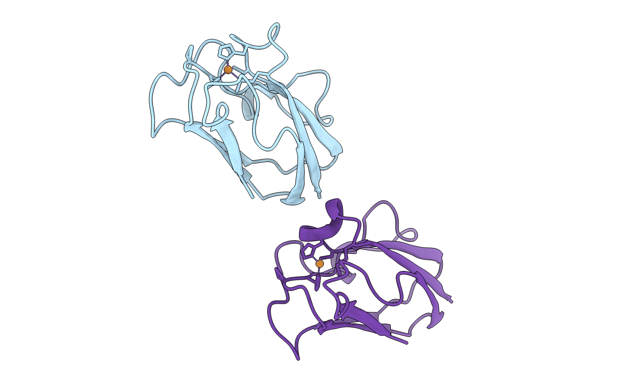 1BYO image
