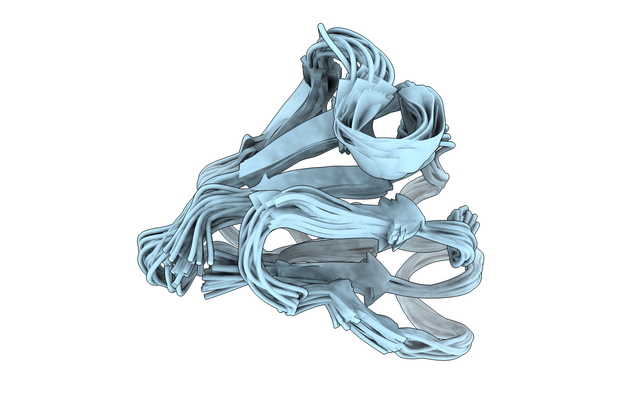 1C01 image
