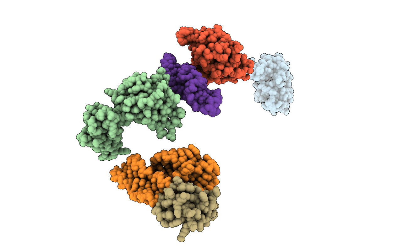 1c04 image