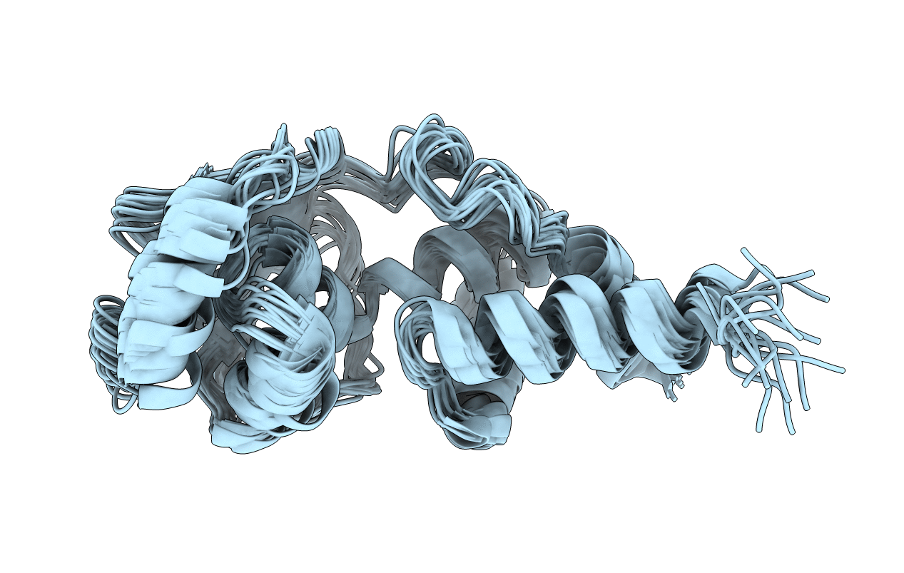 1C06 image