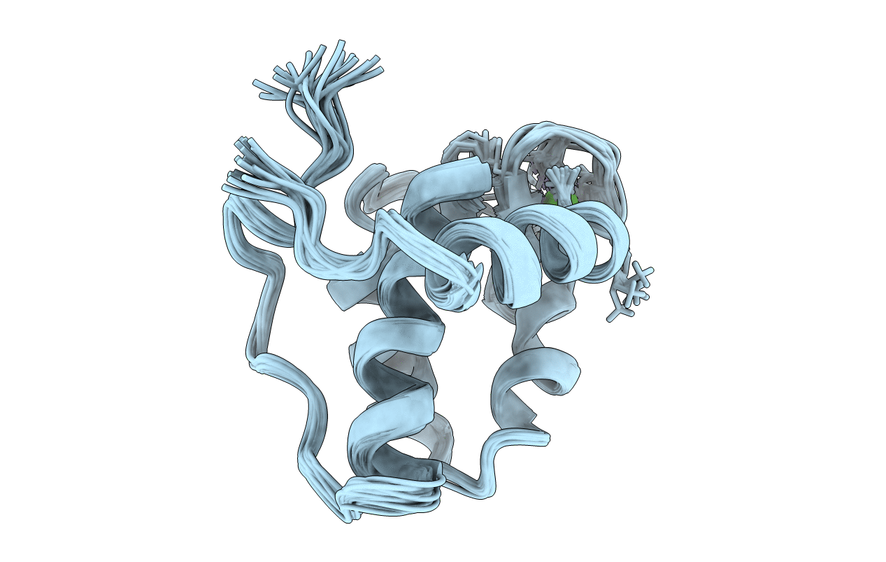 1C07 image