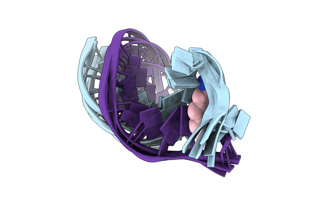 1C0Y image