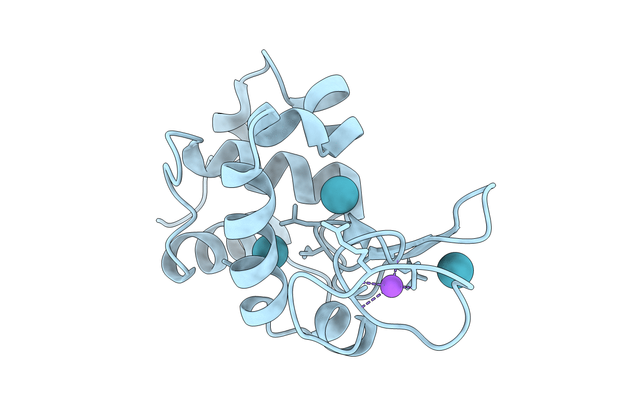 1C10 image