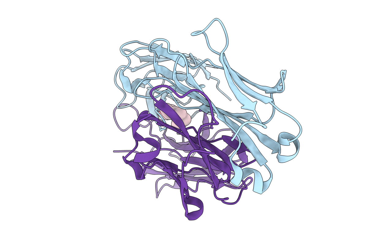 1C12 image