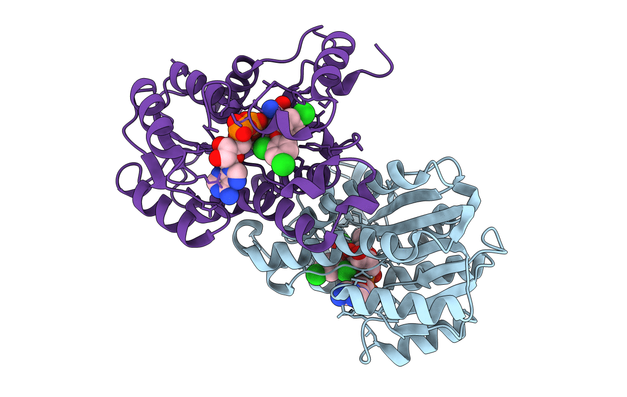 1C14 image