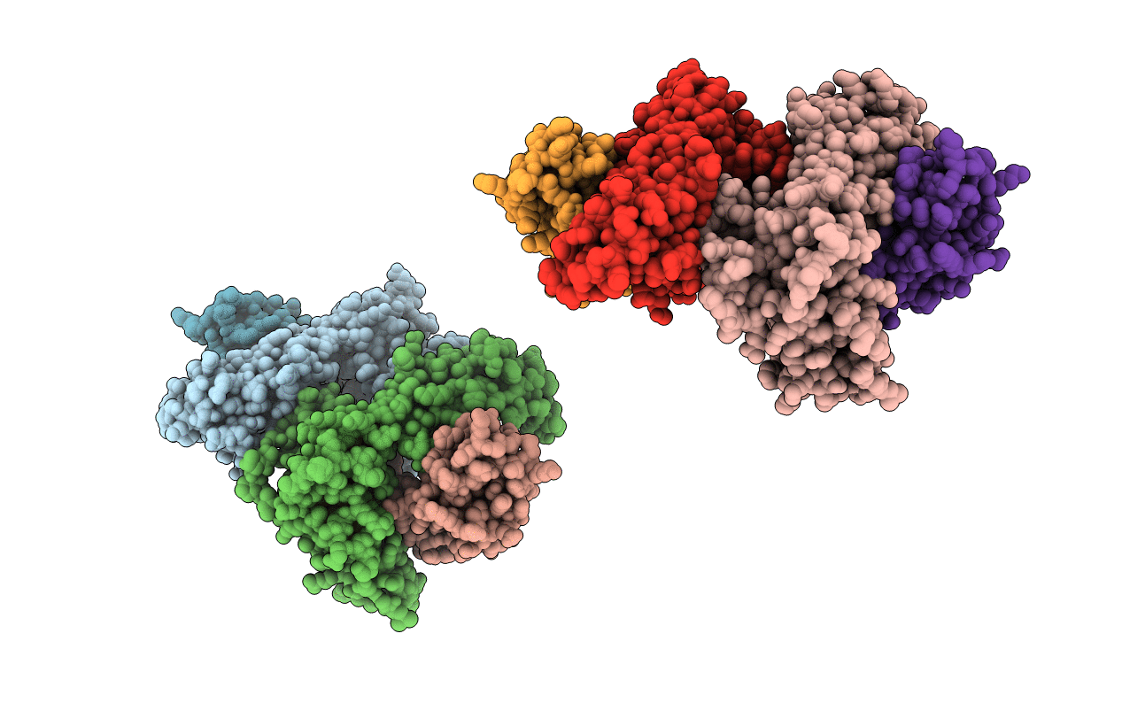 1C16 image