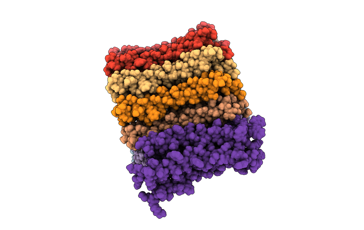 1C17 image