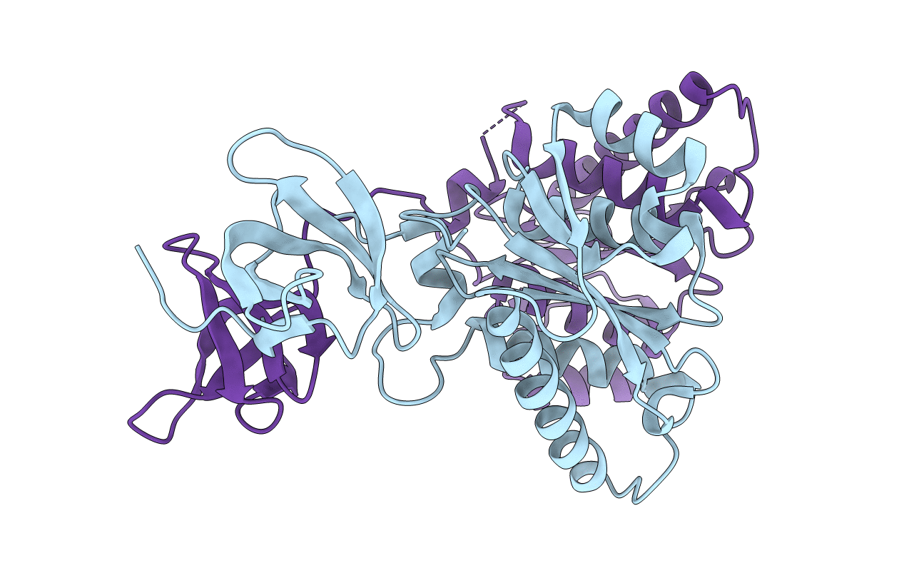 1C1A image