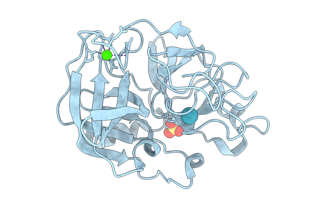 1C1M image