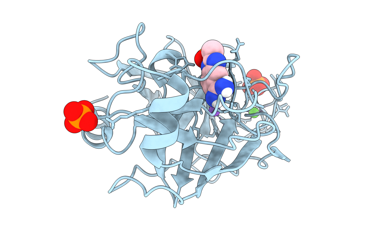 1C1S image