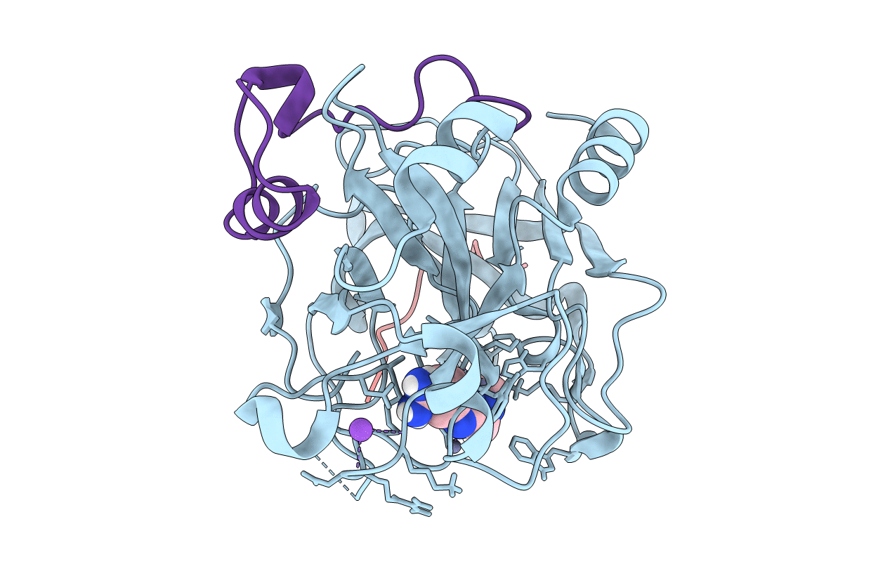 1C1V image