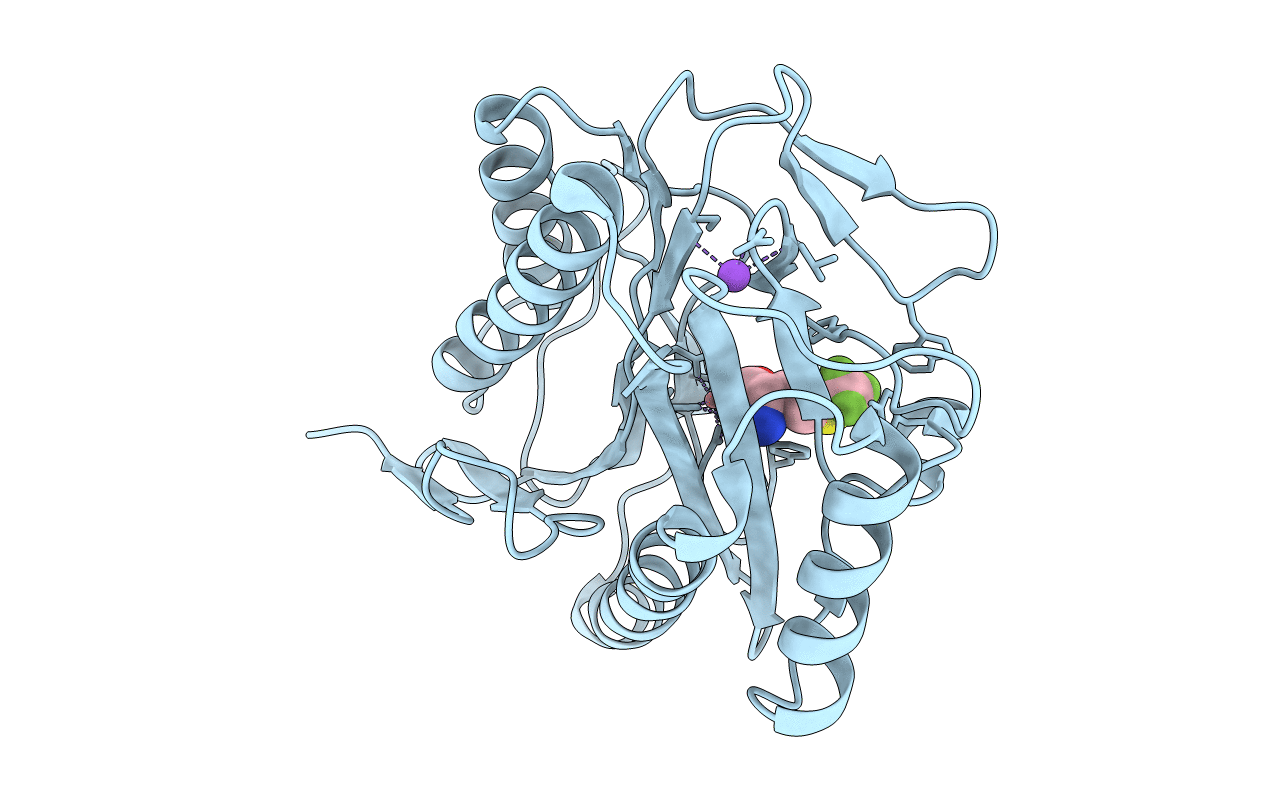 1C22 image