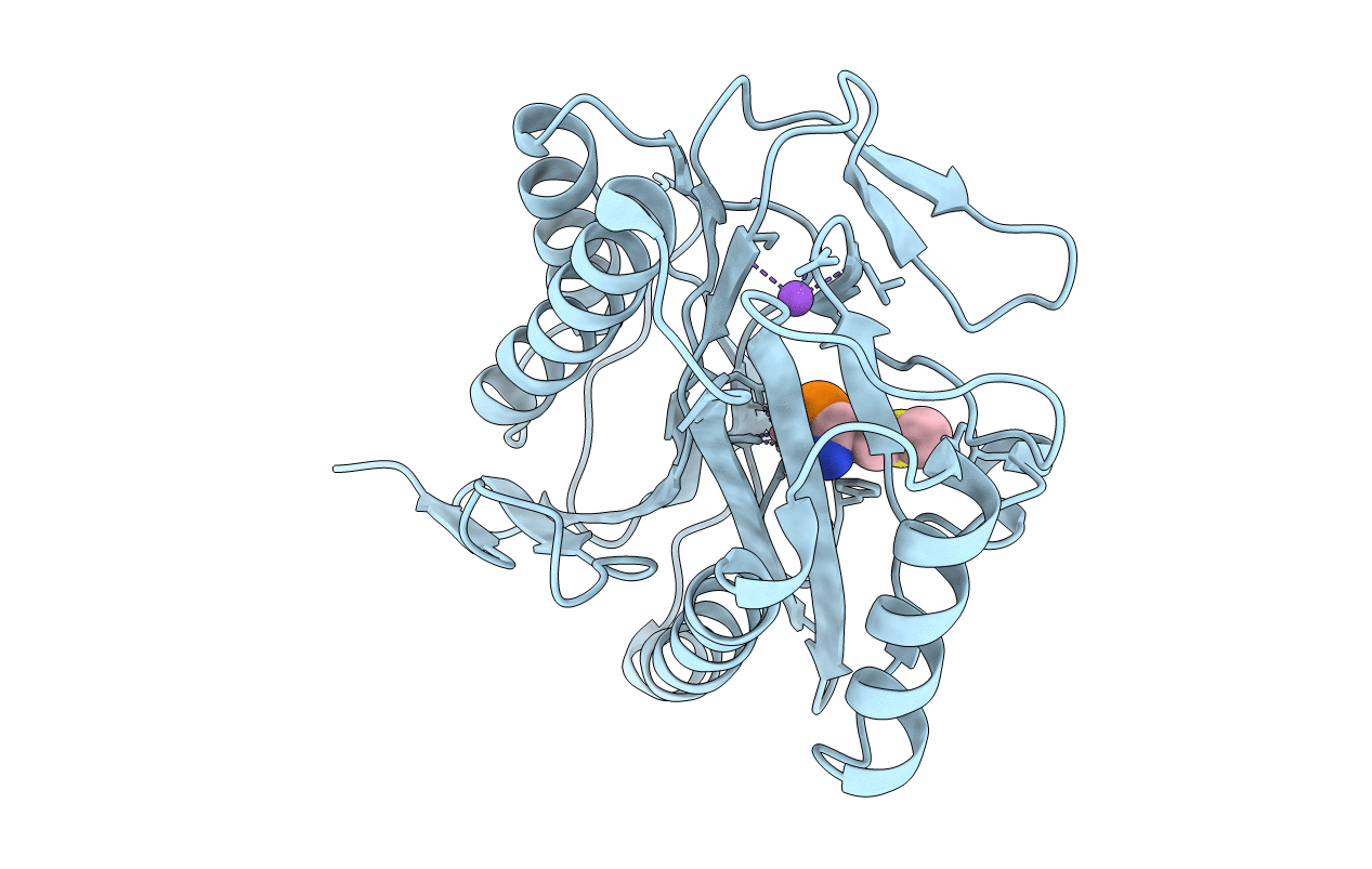1C24 image