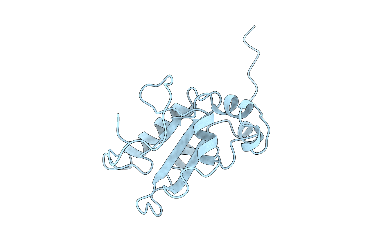1C25 image