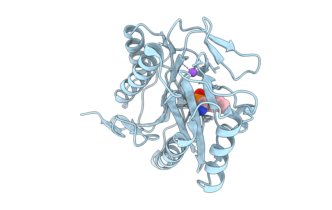1C27 image