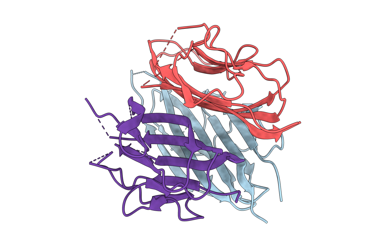 1C28 image