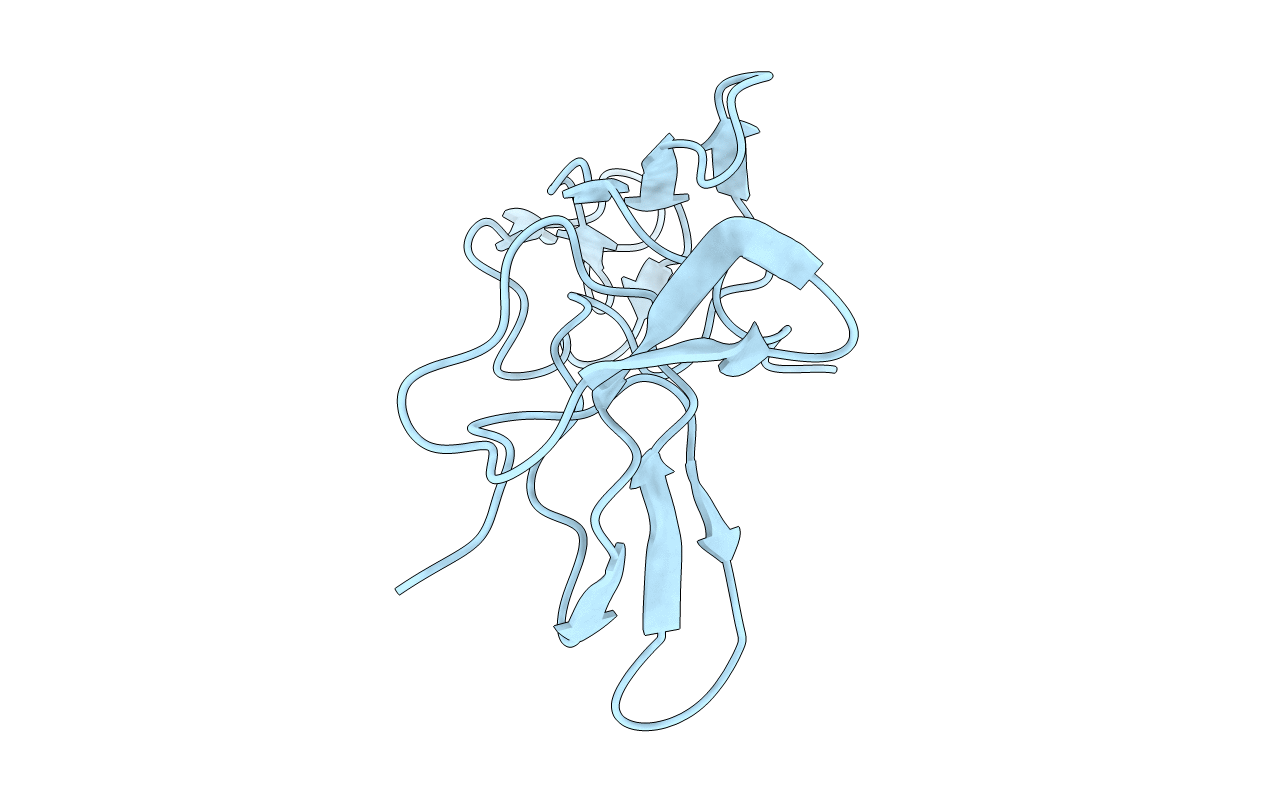 1C2A image
