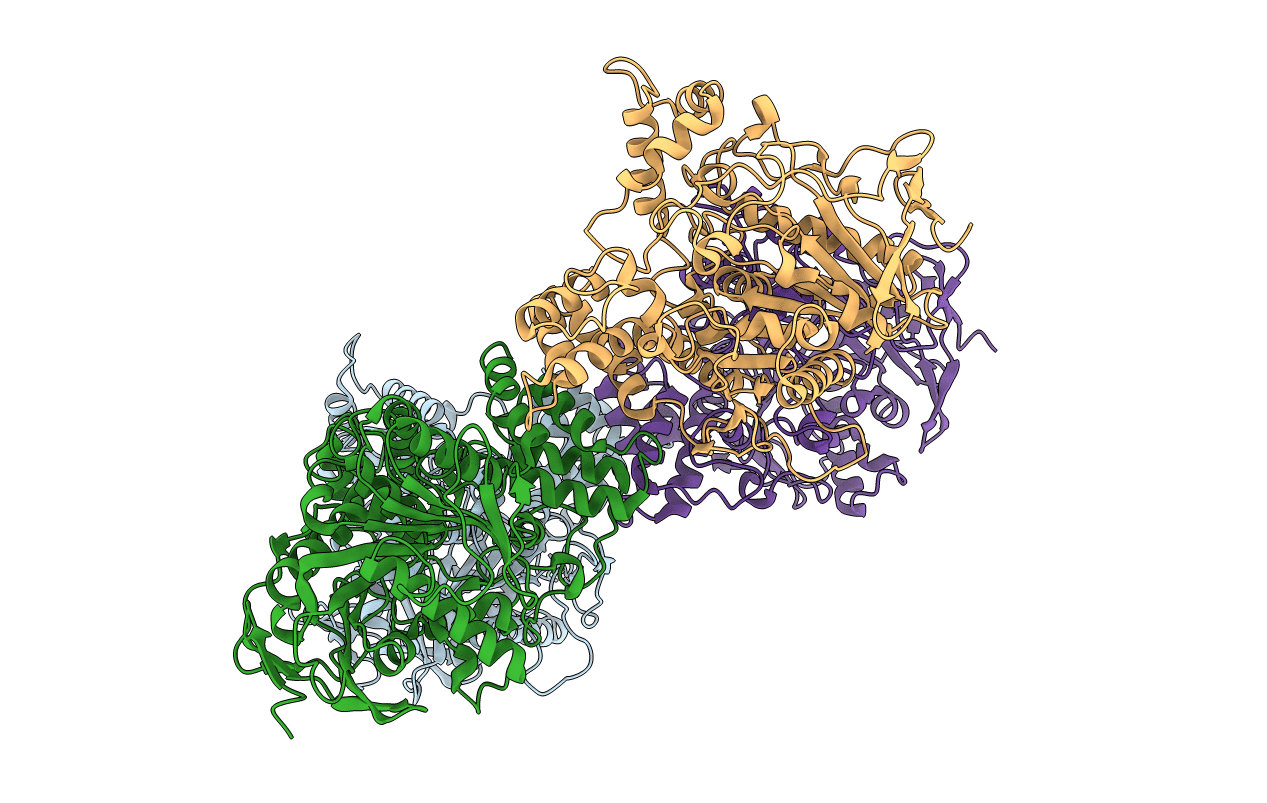 1C2O image