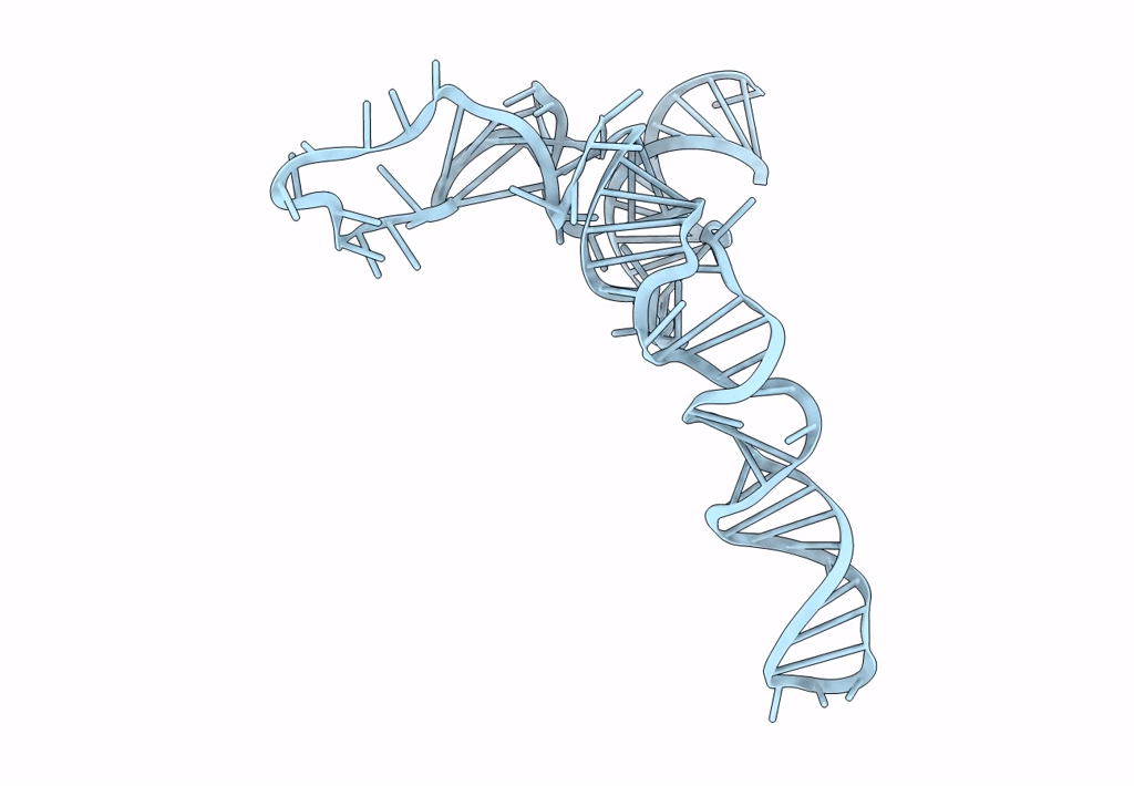 1C2X image